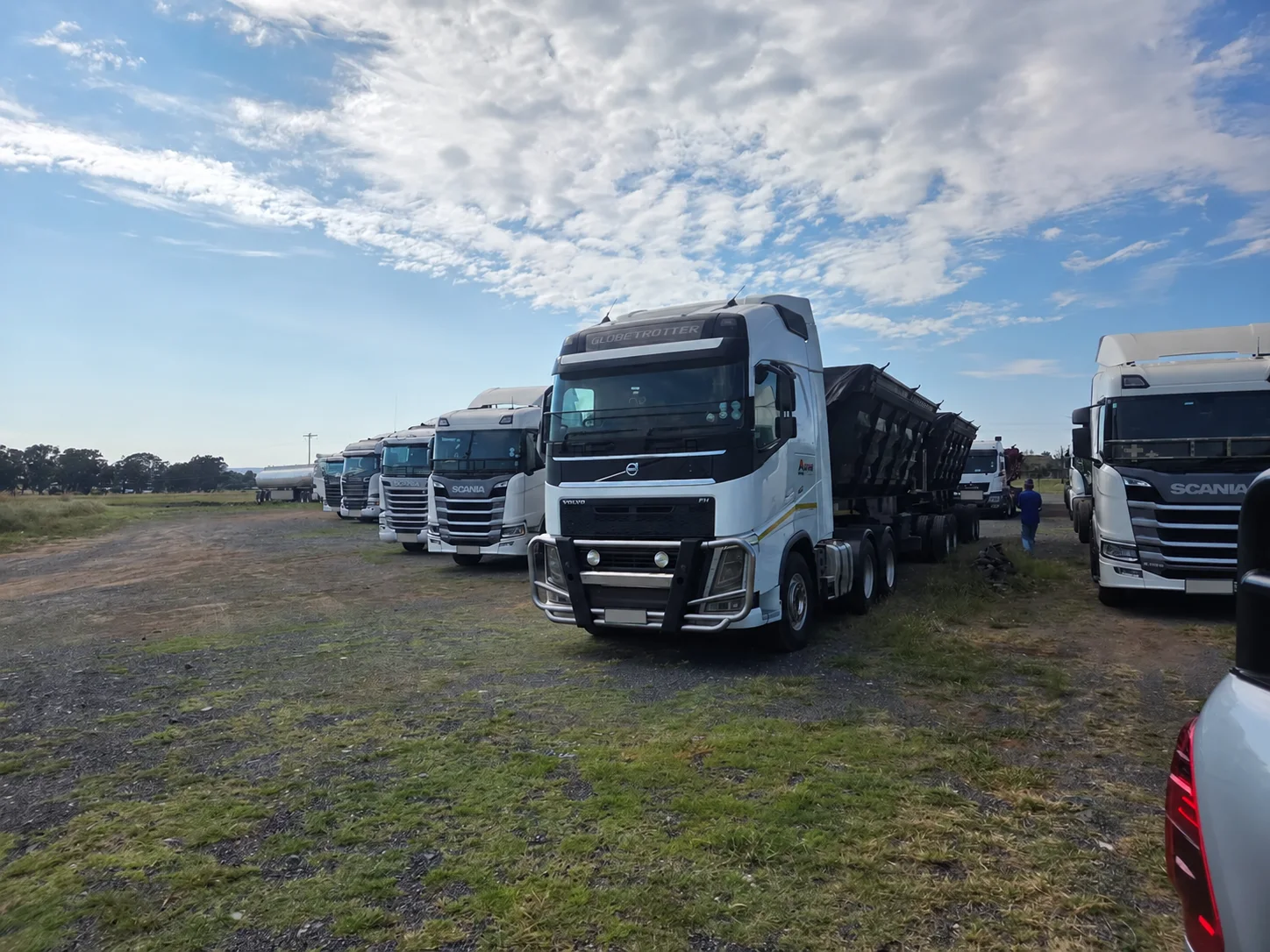 Volvo and Scania trucks lined up in a transport fleet yard